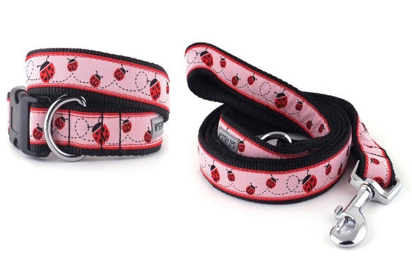 Ladybug Walk Set – Collar & Leash