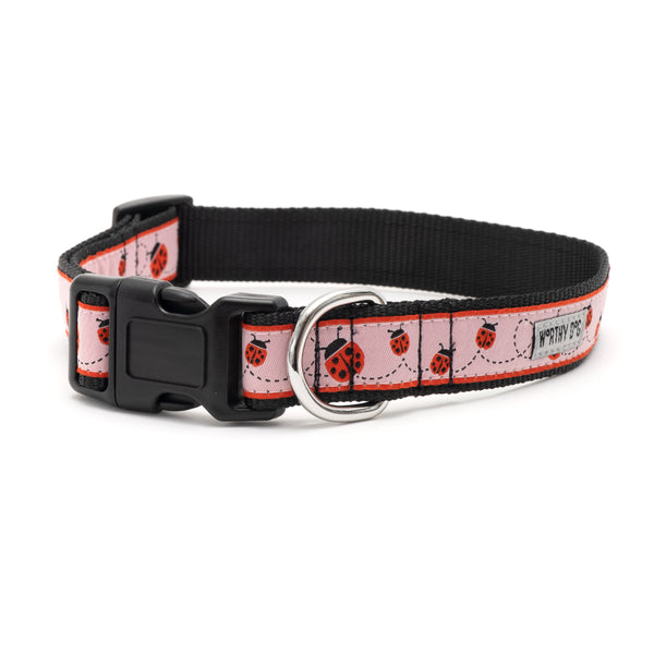 Ladybug Collar