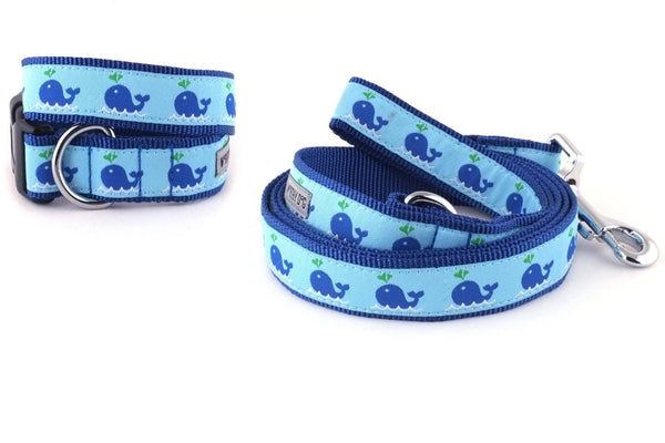 Squirt Walk Set – Collar & Leash