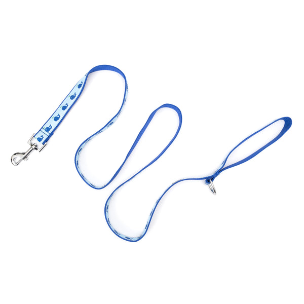 Squirt Walk Set – Collar & Leash