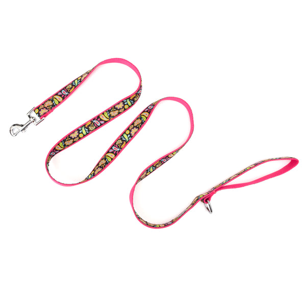 Floral Paisley Walk Set – Collar & Leash