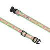 Preppy Bones Collar