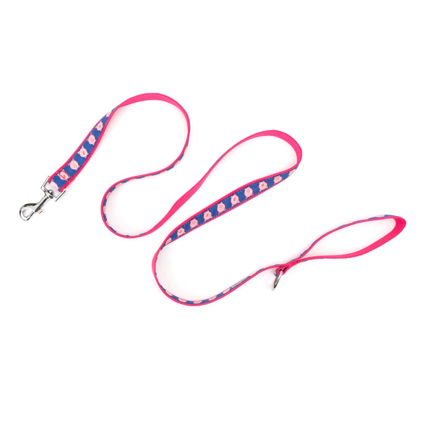 Wilbur Pig Walk Set – Collar & Leash