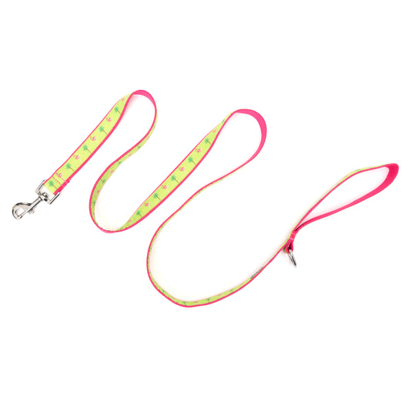 Flamingos Walk Set – Collar & Leash