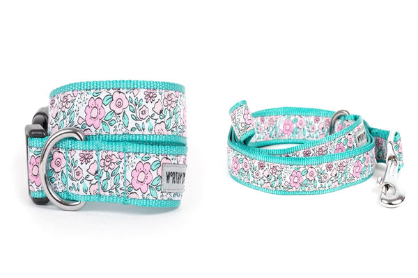 Garden Party Walk Set – Collar & Leash