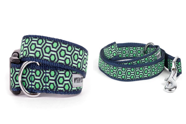 Hexagon Walk Set – Collar & Leash