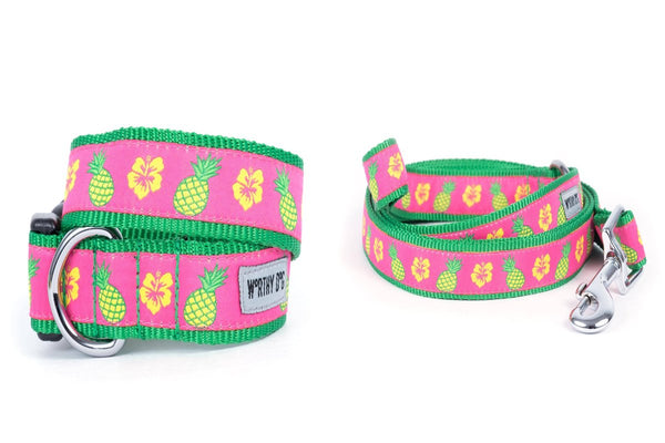 Pineapples Walk Set – Collar & Leash