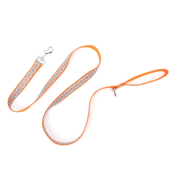 Stamp Print Walk Set – Collar & Leash