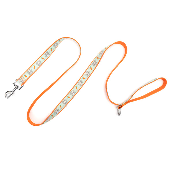 Bunnies Walk Set – Collar & Leash