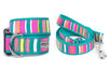 Fiesta Stripe Walk Set – Collar & Leash