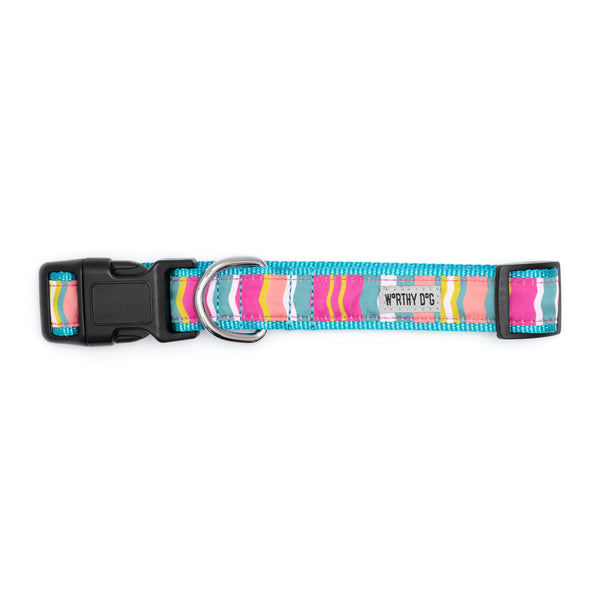 Fiesta Stripe Walk Set – Collar & Leash