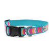 Fiesta Stripe Collar