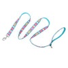 Fiesta Stripe Walk Set – Collar & Leash