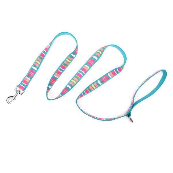 Fiesta Stripe Walk Set – Collar & Leash