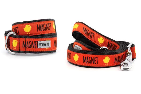 Chick Magnet Walk Set – Collar & Leash
