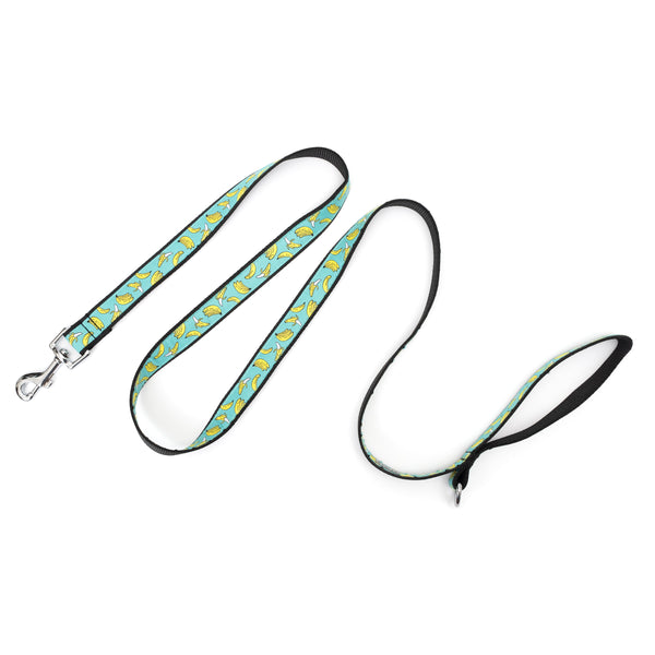 Go Bananas Walk Set – Collar & Leash