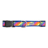 Rainbow Walk Set – Collar & Leash