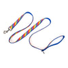 Rainbow Walk Set – Collar & Leash