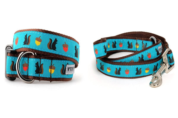 Squirrelly Walk Set – Collar & Leash