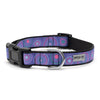 Sunburst Purple Collar