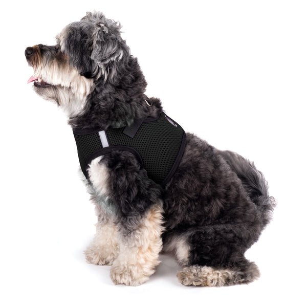 Classic Black Sidekick Dog Harness