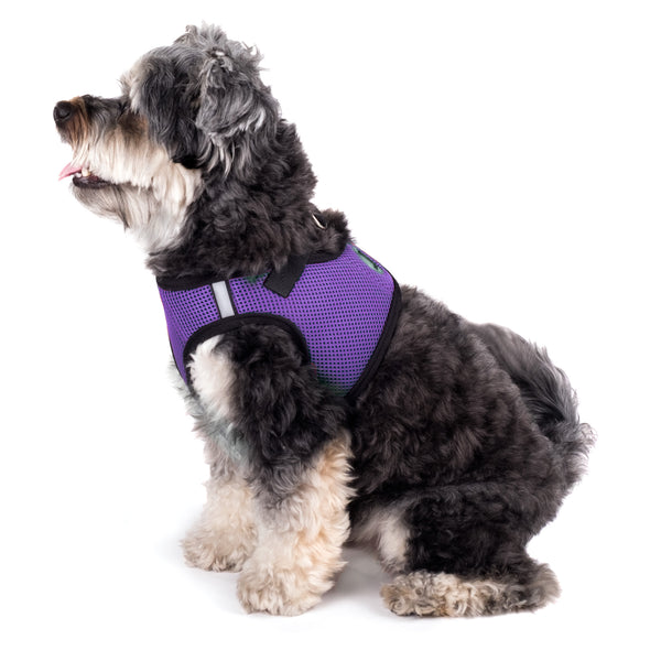 Classic Purple Sidekick Dog Harness