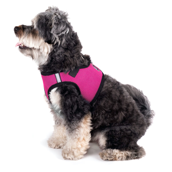 Classic Pink Sidekick Dog Harness