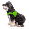 Classic Lime Sidekick Dog Harness