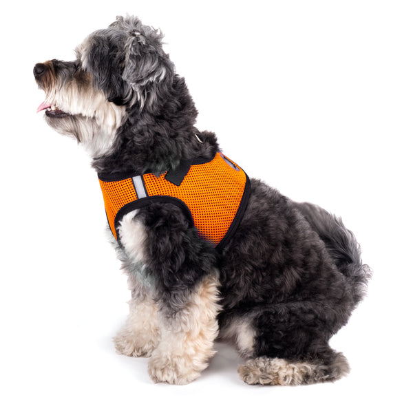 Classic Orange Sidekick Dog Harness