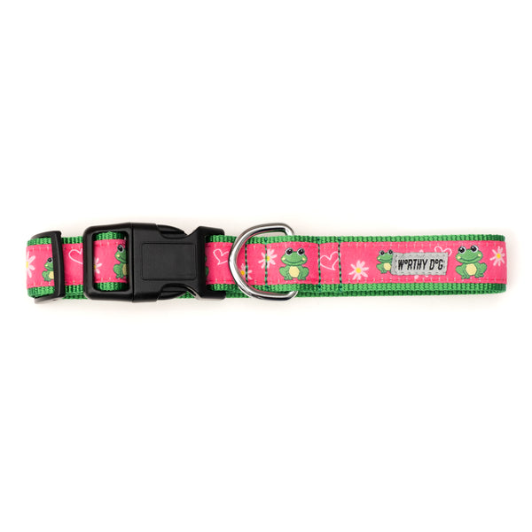 Ribbit Walk Set – Collar & Leash