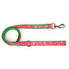 Ribbit Walk Set – Collar & Leash