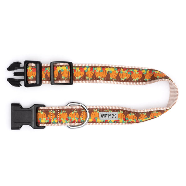 Pumpkin Patch Collar