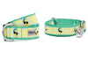 Lemons Walk Set – Collar & Leash