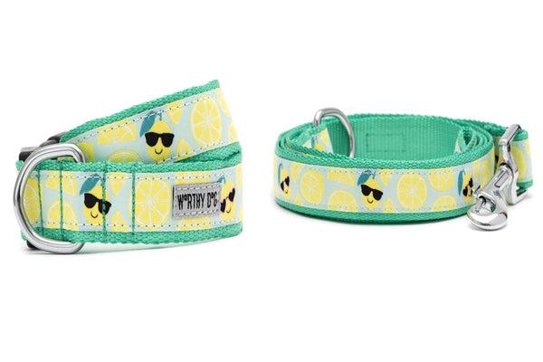 Lemons Walk Set – Collar & Leash