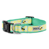 Lemons Walk Set – Collar & Leash