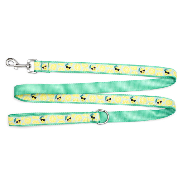 Lemons Walk Set – Collar & Leash
