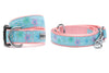 Starfish Floral Walk Set – Collar & Leash