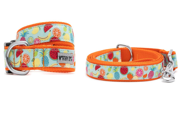 Tutti Frutti Walk Set – Collar & Leash