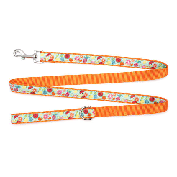 Tutti Frutti Walk Set – Collar & Leash