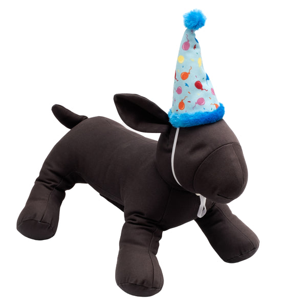 Birthday Party Hat