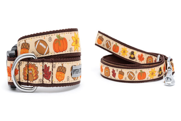 Fallelujah Walk Set – Collar & Leash