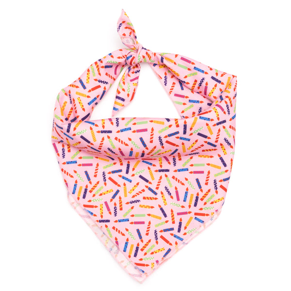 It's My Birthday Bandana