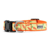 Crazy Carrots Walk Set – Collar & Leash