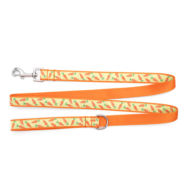 Crazy Carrots Walk Set – Collar & Leash