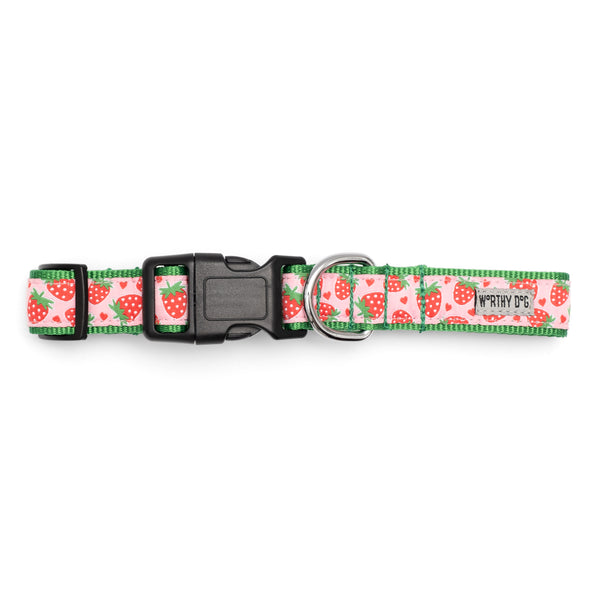 Strawberries Collar