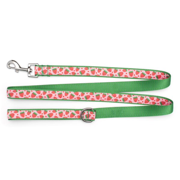 Strawberries Walk Set – Collar & Leash