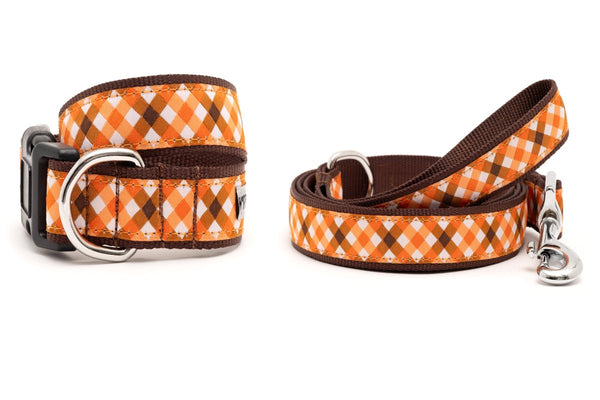 Fall Check Walk Set – Collar & Leash
