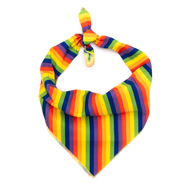 Rainbow Bandana