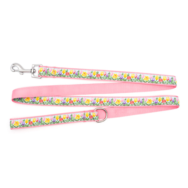 Hello Spring Walk Set – Collar & Leash