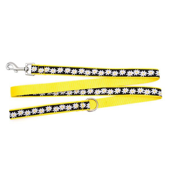 Lazy Daisy Walk Set – Collar & Leash